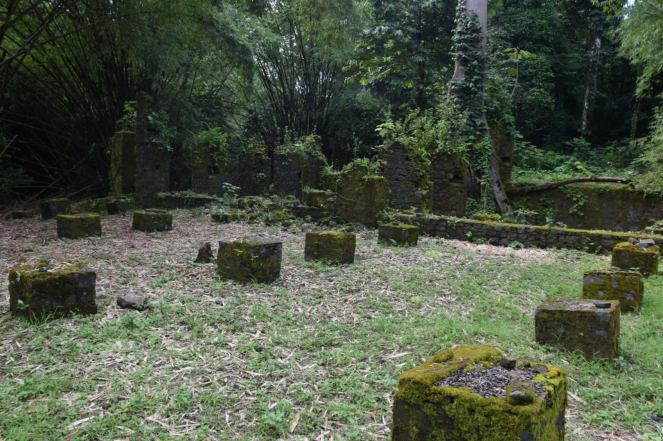 marché et piedestaux