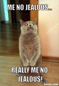 jealous cat meme cute